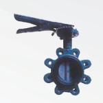 Butterfly Valve